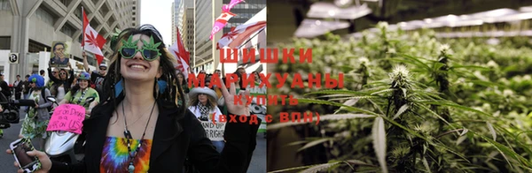 дурь Белокуриха