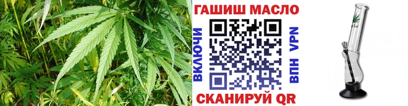 ТГК концентрат  Мглин 
